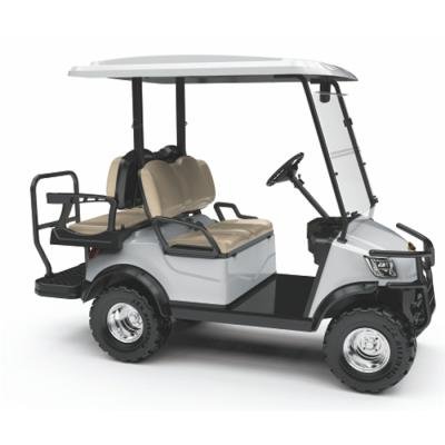 Lifted Golf Cart DH-M2+2