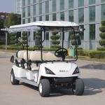 6 Seater Golf Cart DG-C6