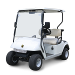 2 Seater Golf Cart DG-C2