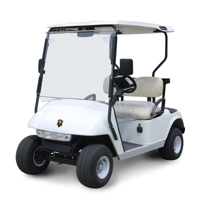 2 Seater Golf Cart DG-C2