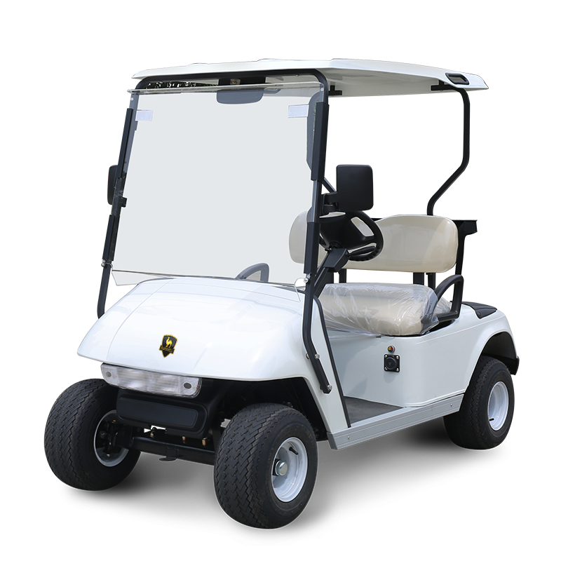 2 Seater Golf Cart DG-C2