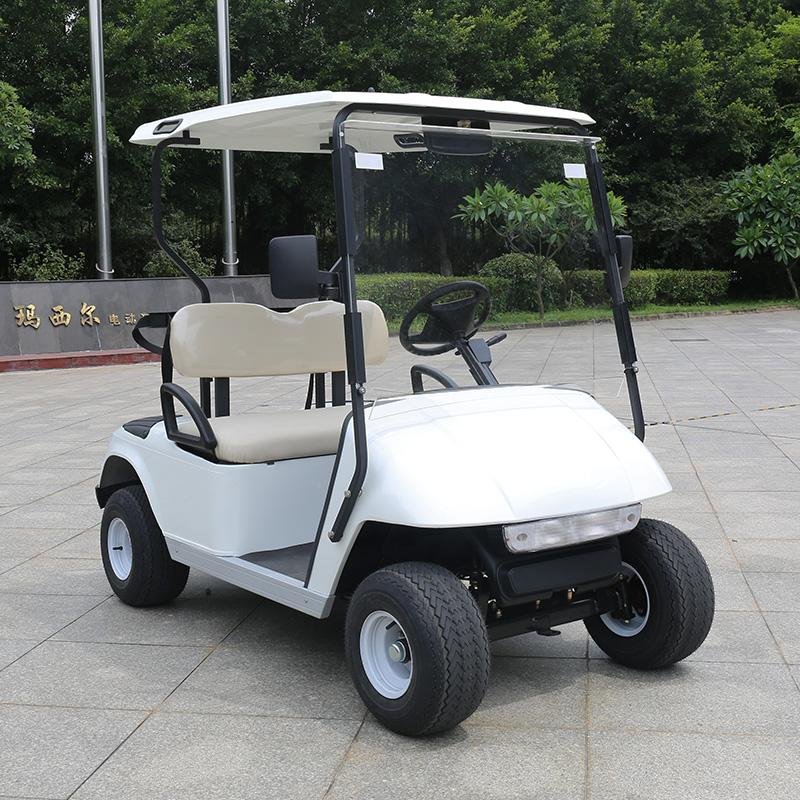 2 Seater Golf Cart DG-C2