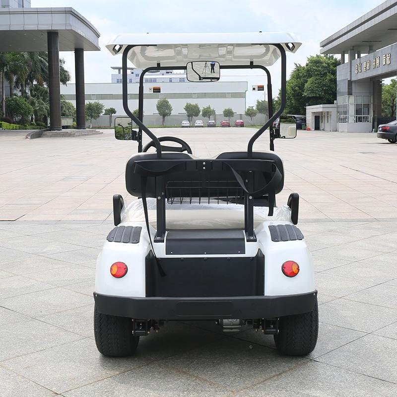 2 Seater Golf Cart DG-C2