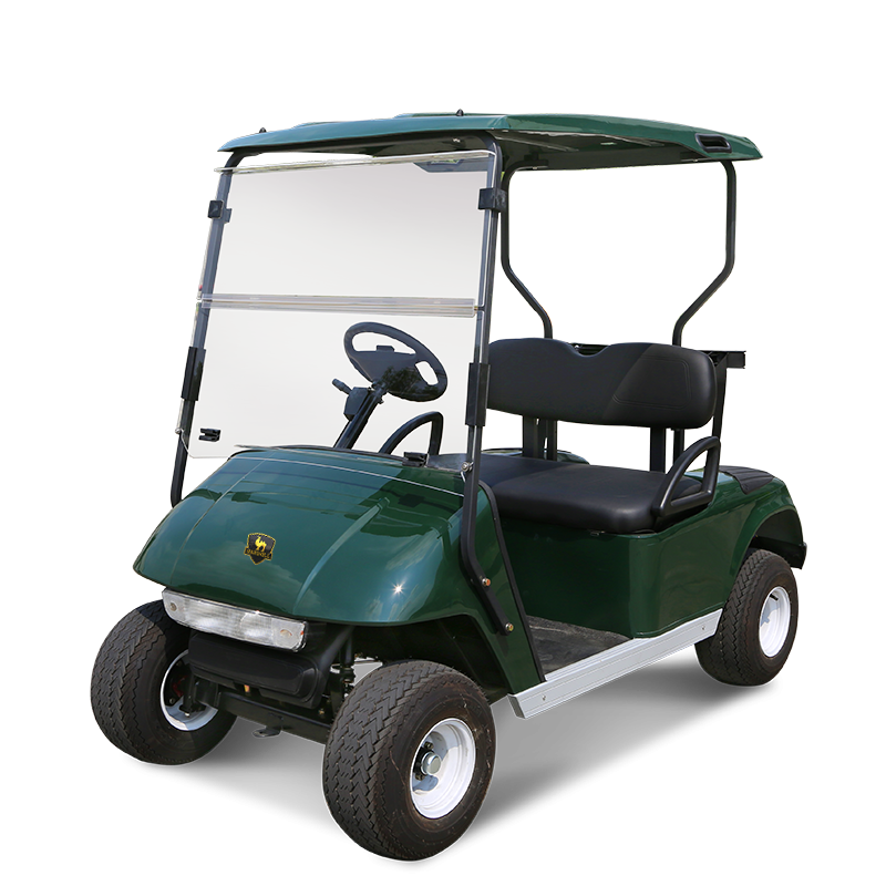 2 Seater Golf Cart DG-C2