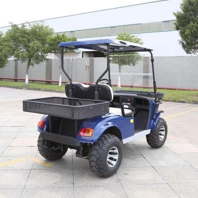 Lifted 2 Seater Golf Cart DH-C2