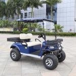 Lifted 2 Seater Golf Cart DH-C2