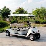 4 Seater Golf Cart DG-C4