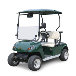 2 Seater Golf Cart DG-C2-5