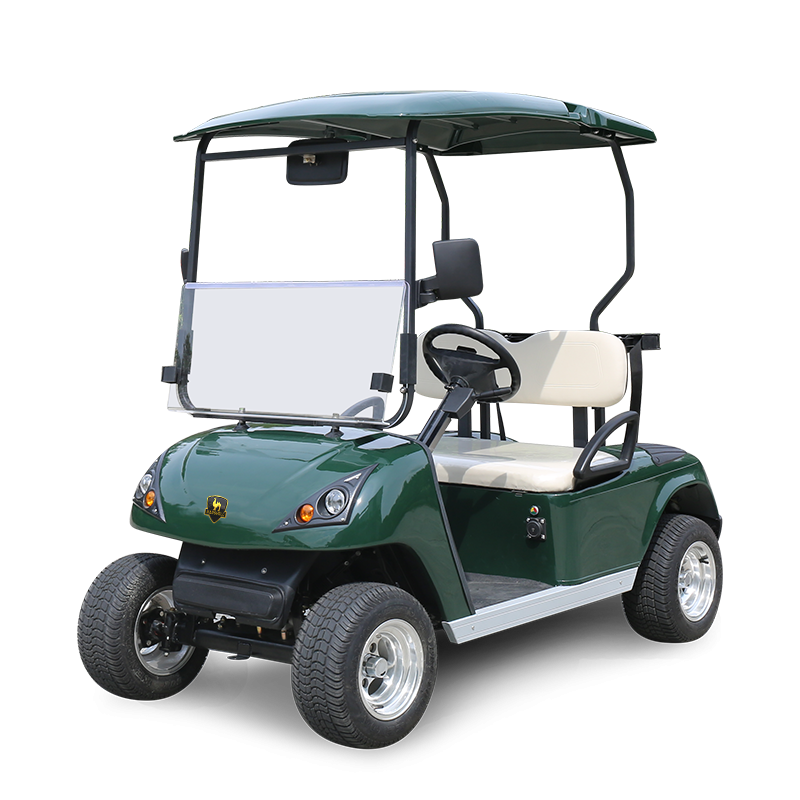 2 Seater Golf Cart DG-C2-5