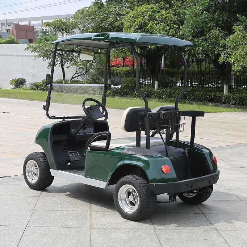 2 Seater Golf Cart DG-C2-5