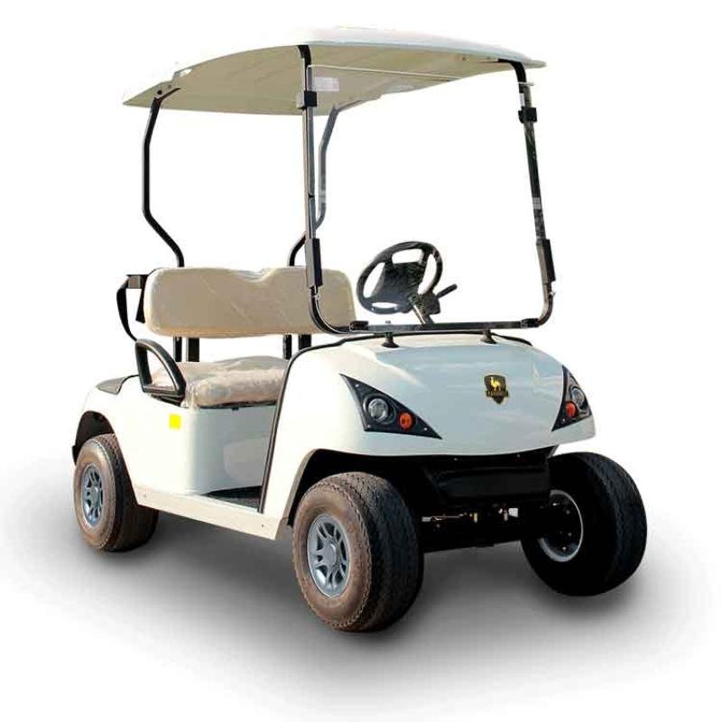 2 Seater Golf Cart DG-C2-5