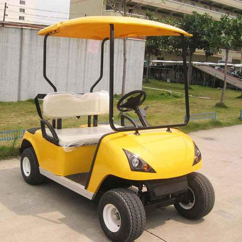 2 Seater Golf Cart DG-C2-5