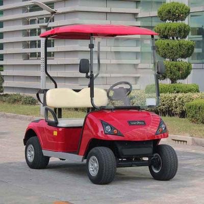 2 Seater Golf Cart DG-C2-5