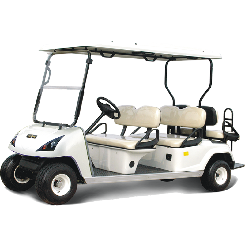 Electric Golf Cart DG-C4+2