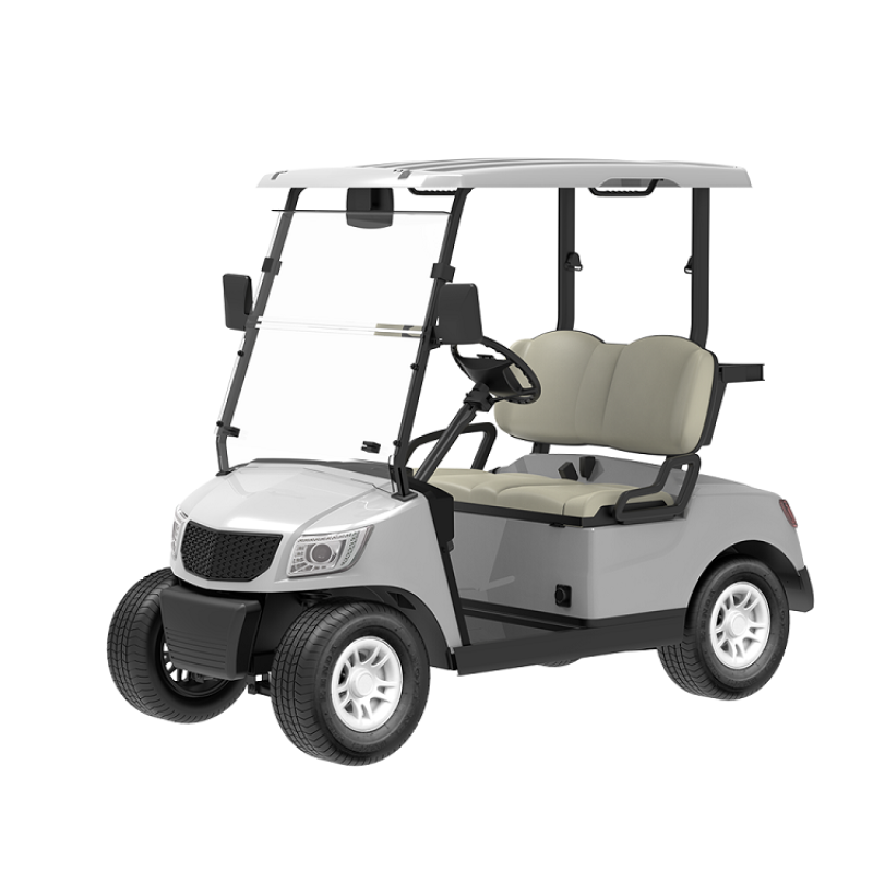 2 Seater Golf Cart DG-M2