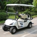 4 Seater Golf Cart DG-C2+2