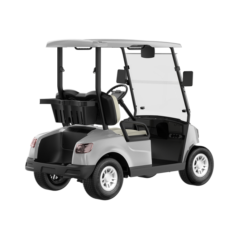 2 Seater Golf Cart DG-M2