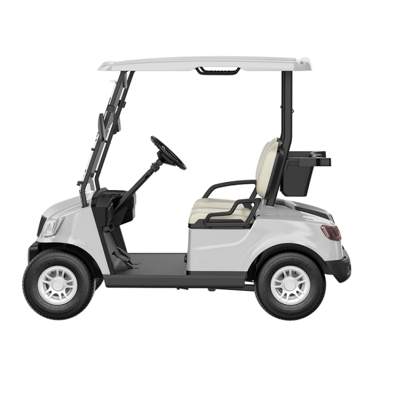 2 Seater Golf Cart DG-M2