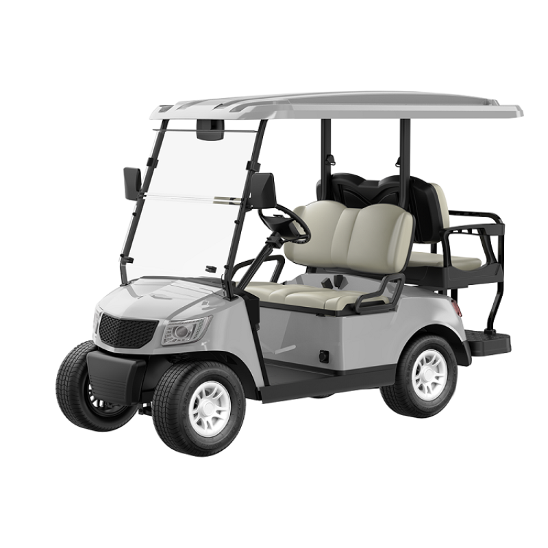 4 Seater Golf Cart DG-M2+2