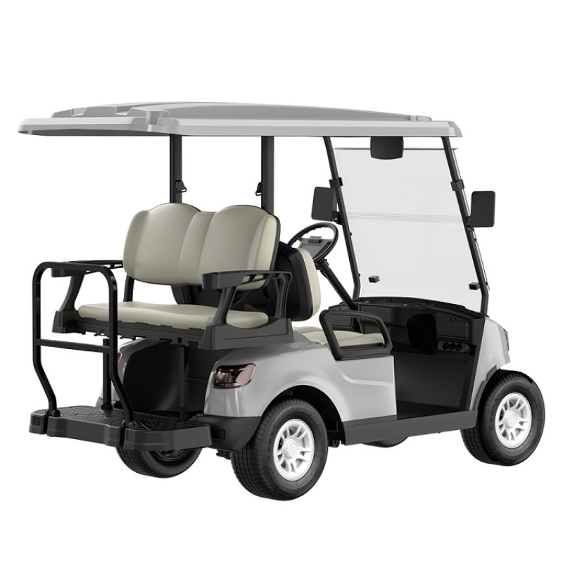 4 Seater Golf Cart DG-M2+2