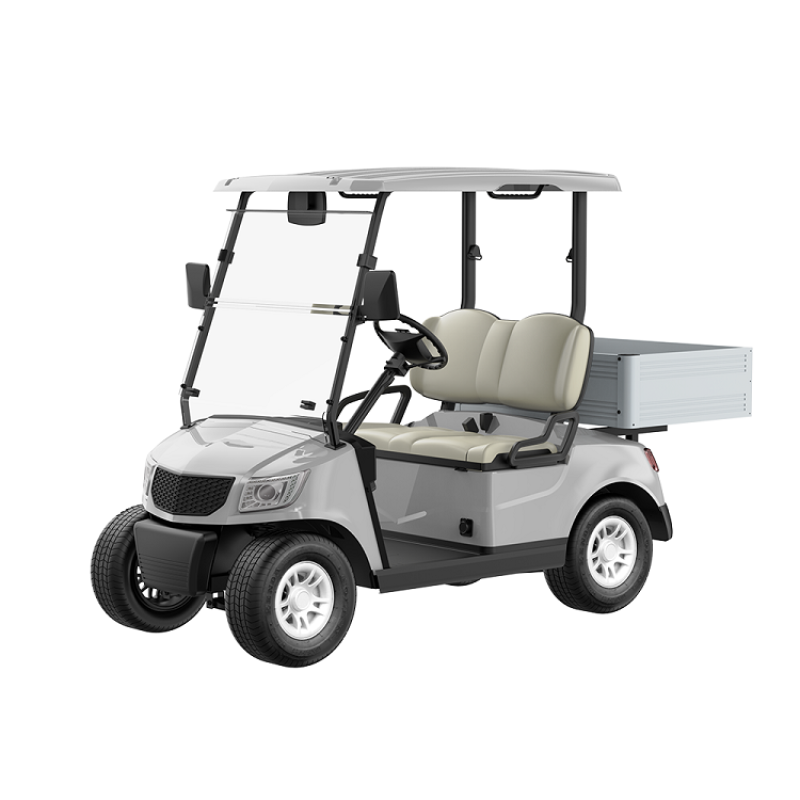 Electric Utility Vehicle DG-M2S