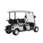 4 Seater Golf Cart DG-M4