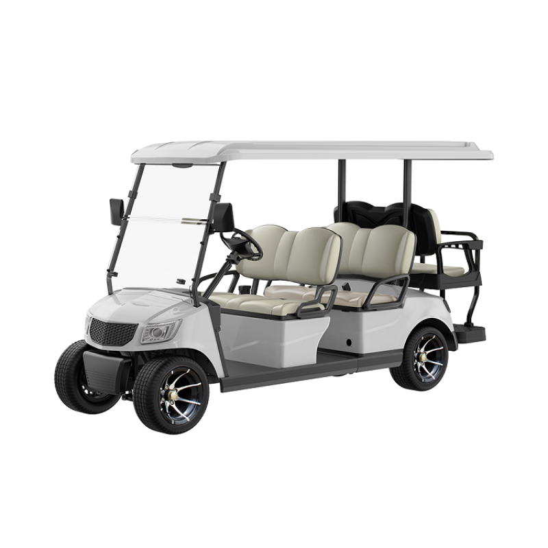 6 Seater Golf Cart DG-M4+2