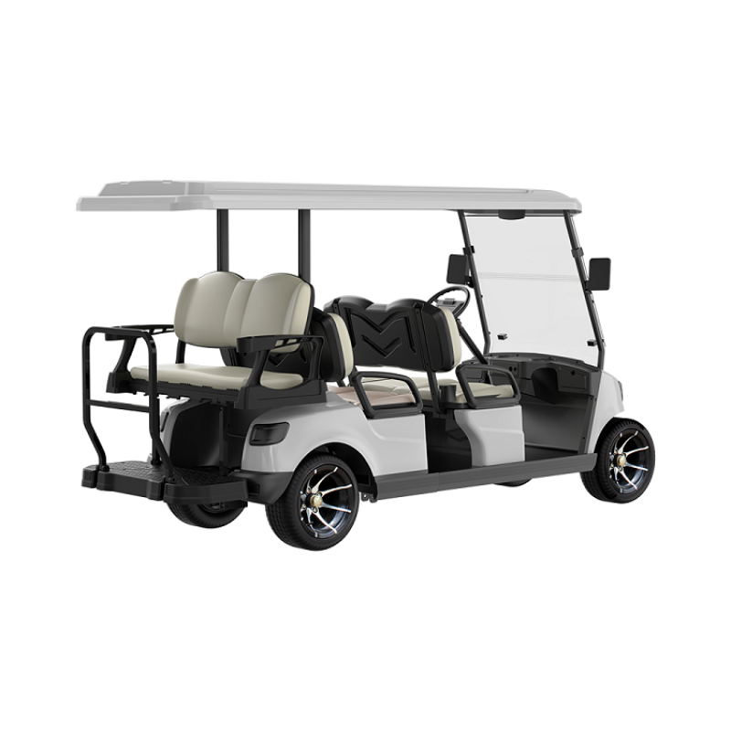 6 Seater Golf Cart DG-M4+2