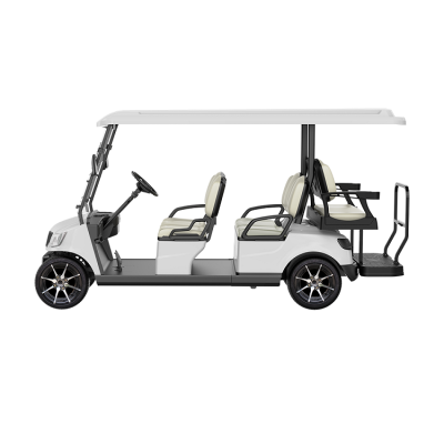 6 Seater Golf Cart DG-M4+2