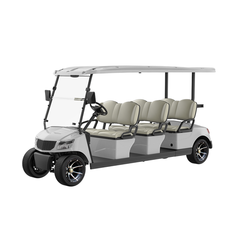 6 Seater Golf Cart DG-M6