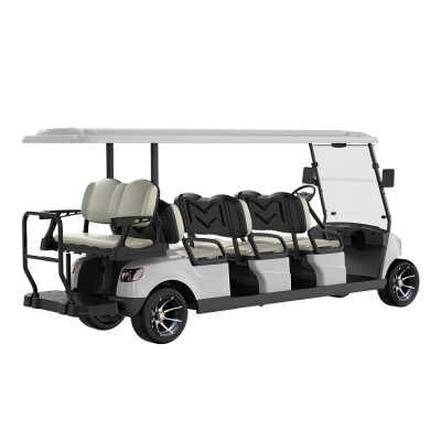 8 Seater Golf Cart DG-M6+2