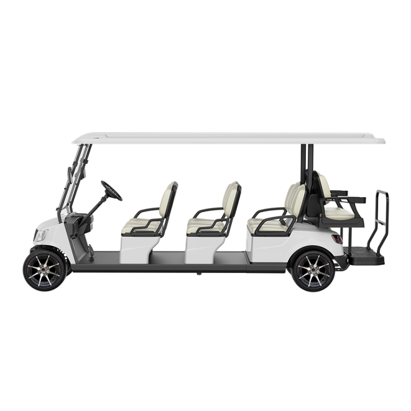 8 Seater Golf Cart DG-M6+2