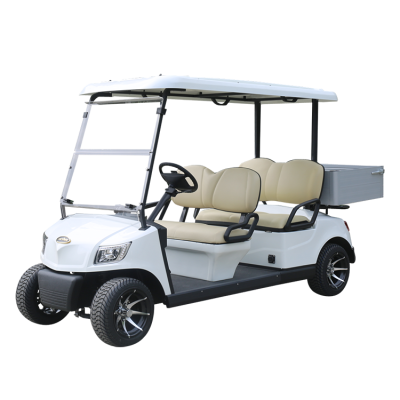 Electric Utility Vehicle DG-M4S