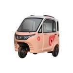 Cheap Energy Closed Body City Electric Car Small Electric Vehicle for Adults