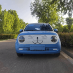 Used GWM Ora Black Cat