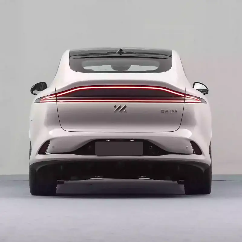 IM Motors LS6